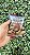 Charle Brownie Original Pink 55g - 5 unidades - Imagem 1