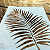 STENCIL FOLHA GRANDE PALMEIRA 50X50CM - Imagem 1