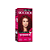 Tintura de Cabelo Biocolor  Vermelho Intenso 6.66 - Imagem 1