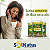 Chá Arruda In Natura 50g - Imagem 1
