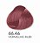 XTREME COLORS - 66.46 VERMELHO RUBI - Imagem 1