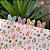 Clips Jardim de Borboletas - Imagem 1