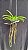 Rhynchostylis Coelestis, Blue (Mini Vanda) - Imagem 2