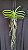 Vanda Nopporn Gold  Yellow Green Two Tone - Imagem 2