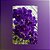 Vanda Pachara Delight - Imagem 1