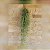 Tillandsia Usneoides-Barba de Velho - Imagem 1