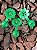 Porta Adubo Plástico Modelo Flor Verde Kit 15 unidades - Imagem 1