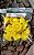 Porta Adubo Plástico Modelo Flor Amarelo Kit 15 unidades - Imagem 4