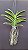Vanda Dr. Anek x Mimi Palmer Nr 480 - Imagem 2