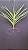 Vanda JVB x Kulwadee Fragrance `Pink` - Imagem 2