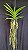 Vanda Somsri Blue Classic x Chulee Classic - Imagem 2