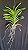 Vanda Nopporn White Nr. 484 - Imagem 2