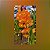 Vanda Prachit Gold x Bangkhuntian Gold - Imagem 1