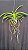 Vanda Fuchs Sunset x Pine Rivers Orange Red Lip - Imagem 2