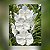 Muda de Vanda Nopporn White Diamond nr. 98 - Imagem 1