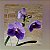 Vanda General Prinya - Imagem 1