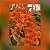 Renanthera Jairak Orange - Imagem 1