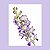 Prra.La Beau Blue (Mini Vanda) - Imagem 1