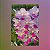 Vanda Janice Allison (Mini Vanda) - Imagem 1