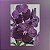 Vanda Dr Anek x Kulwadee Fragrance, Dark Purple Nr. 594 - Imagem 1