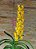 Orquídea Vanda Touceira Nr. #17 - Imagem 3