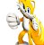 Painel Sonic - Tails EVA Relevo para Decoração festa   - 1 unidade - Imagem 3