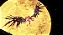 Sonic x Shadow Generations PS5 - Imagem 7
