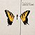 Paramore - Brand New Eyes - LP - Imagem 2