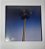 Miley Cyrus - Endless Summer Vacation (White) - LP - Imagem 3