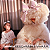 Sia - Reasonable Woman (Webstore Exclusive) - LP - Imagem 2
