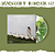 Kacey Musgraves - Deeper into the Well (Bad World Exclusive) - LP - Imagem 1