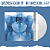 Lorde - Virgin (Clear) - LP - Imagem 1