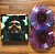 The Weeknd - After Hours (Clear & Red Splatter) - LP - Imagem 2