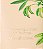 Afternoon Light Body Lotion - 236ml Victória Secret's - Imagem 2