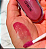 Kiko Lip Gloss 3D Hydra 35 Pearly Warm Mauve - Gloss Labial 6,5ml Kiko Milano - Imagem 3