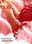 Pure Seduction Brulee Fragrance Lotion - Victória's Secret - Imagem 2