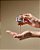 Alcool Gel para mãos Wildberry French Toast - Bath and Body Works - Imagem 3