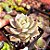 Graptoveria titubans - PT 9 - Imagem 2