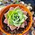 Graptoveria jadeita - PT 9 - Imagem 1