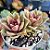 Sedum Ebracteatum - PT 9 - Imagem 2