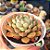 Echeveria Wing Shawi   - PT 9 - Imagem 2