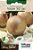 Sementes Cebola Cabeça Texas Topseed - Imagem 1