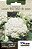 Sementes Couve Flor Bola de Neve Topseed - Imagem 1