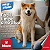 Leve 03 Pague 01 Tapete Higiênico Lavável Super Premium de Alta absorção Tamanho 80x60 - Imagem 3