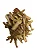 DANG GUI (ANGELICAE SINENSIS RADIX) A GRANEL - Imagem 1