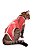 Roupa Gato Pós Cirúrgica - Imagem 8