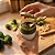 PESTO DE BROCOLIS DE TOMMASO 160G - Imagem 4