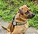 Manguin Para Cães, Tecido Bite Suit - Imagem 9