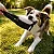 Bola Bite Suit Para Cães, Densidade Macia - Imagem 2