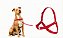 Peitoral Cães Smooth Ride Anti Puxão Ajustável Conforto Premium - Imagem 6